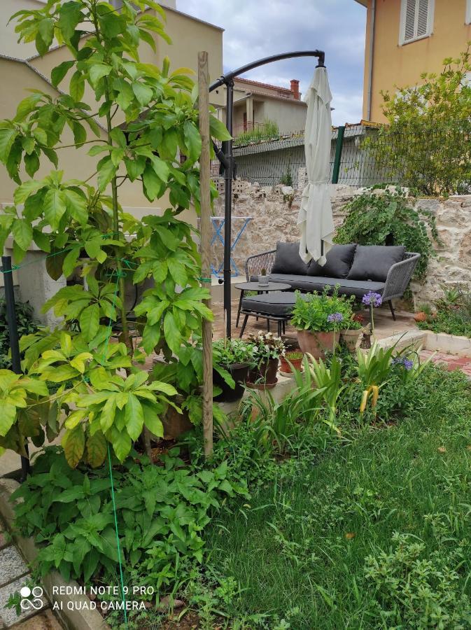 Podvrsina1A Rosa Villa Preko Exterior photo